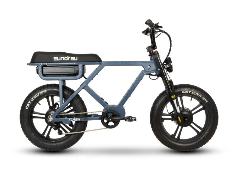 Eunorau Flash 52v 750/1500w Fat Tire E-Bike