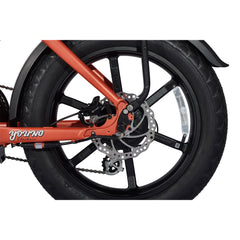 E-Flow 750W 48V 20in All Terrain Fat Tire Folding E-Bike by Young Electric