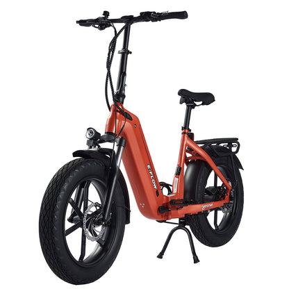 E-Flow 750W 48V 20in All Terrain Fat Tire Folding E-Bike by Young Electric