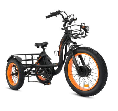 Ecotric 750w 48v Electric Tricycle with Front Basket + Rear Rack