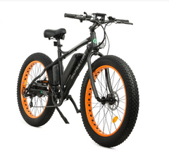 Cheetah Fat Tire 26" Electric Bike Beach Snow 26S900USB - Ecotric