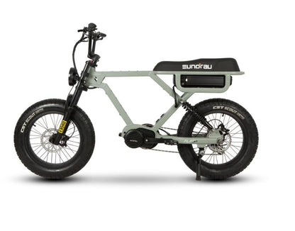 Eunorau Flash 52v 750/1500w Fat Tire E-Bike