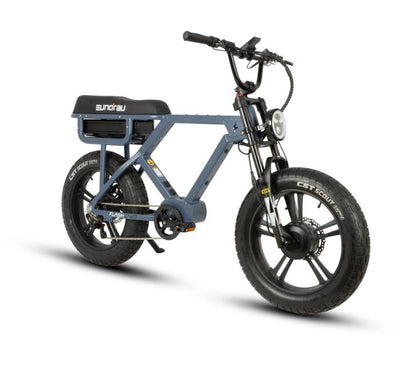 Eunorau Flash 52v 750/1500w Fat Tire E-Bike