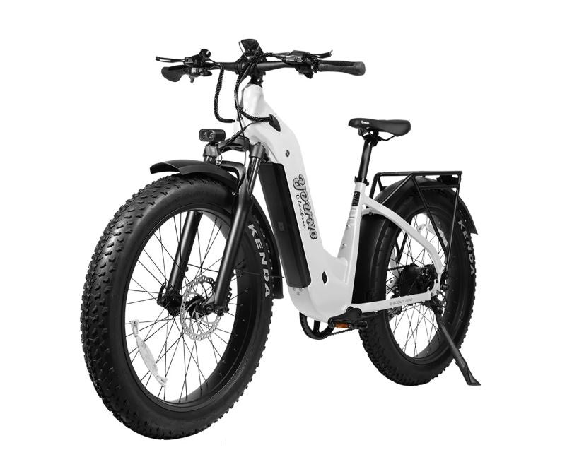 E-Scout Pro 750W 26in Step-Through All Terrain Commuter E-Bike by Young Electric