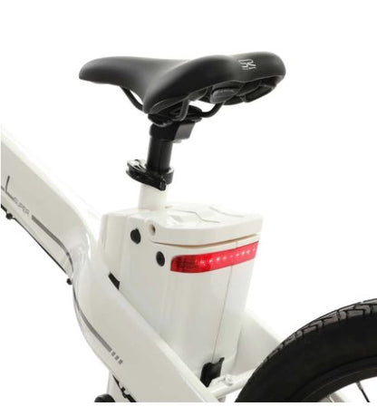 Seagull 1000 Watt Electric Mountain Bicycle MTB - Ecotric