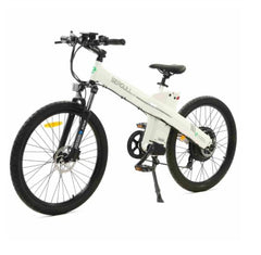 Seagull 1000 Watt Electric Mountain Bicycle MTB - Ecotric