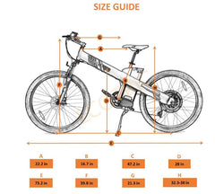 Seagull 1000 Watt Electric Mountain Bicycle MTB - Ecotric