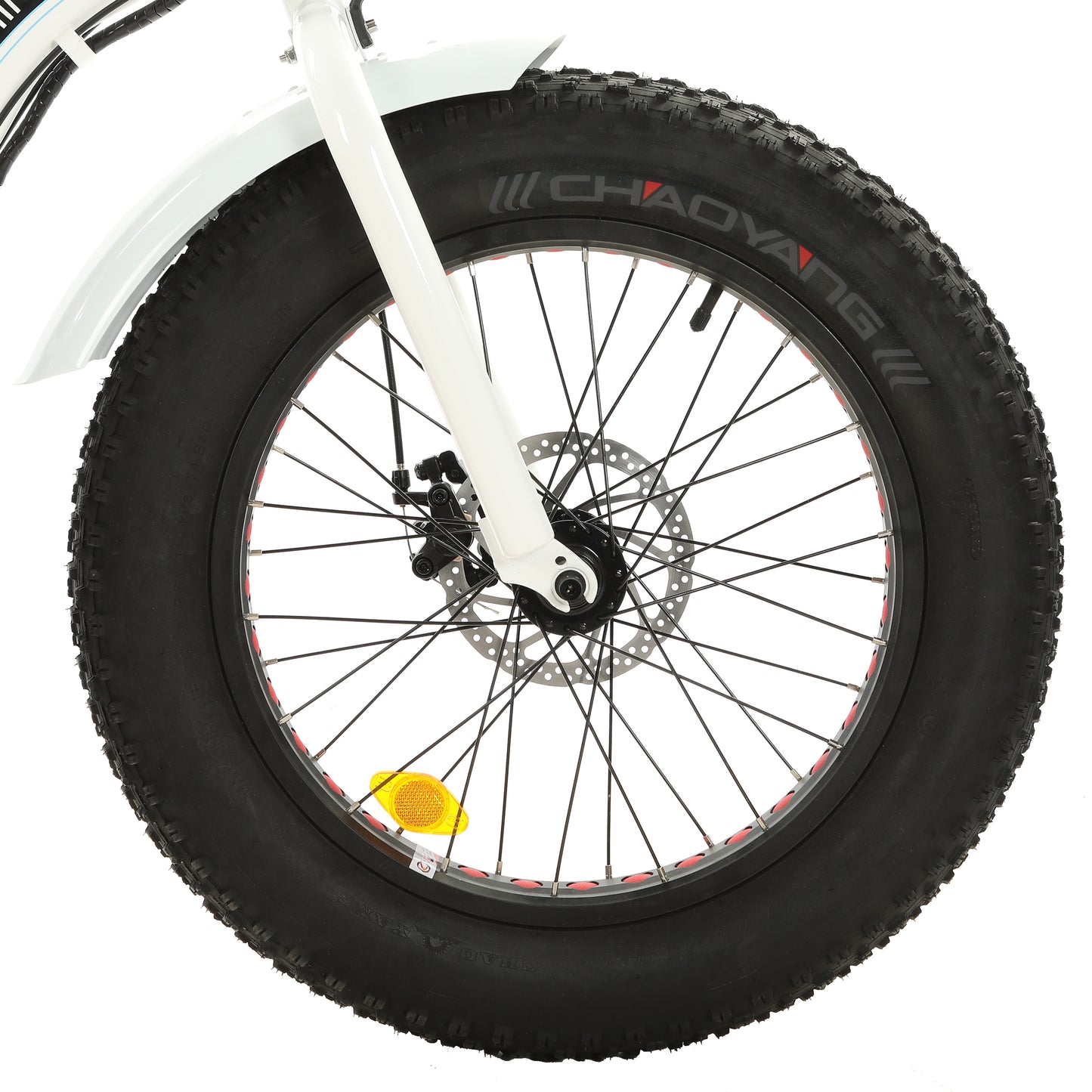 UL Certified-Ecotric Dolphin Portable and Folding Fat Bike