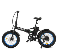 Fat Tire Portable and Folding Electric Bike,Snow, Gravel 36v 20810 - Ecotric PowerSport