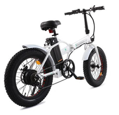 Fat Tire Portable and Folding Electric Bike,Snow, Gravel 36v 20810 - Ecotric PowerSport