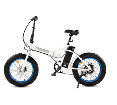 Fat Tire Portable and Folding Electric Bike,Snow, Gravel 36v 20810 - Ecotric PowerSport