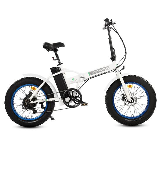 Fat Tire Portable and Folding Electric Bike,Snow, Gravel 36v 20810 - Ecotric PowerSport