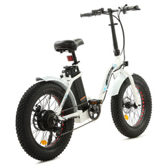 UL Certified-Ecotric Dolphin Portable and Folding Fat Bike