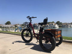 Emojo Caddy Pro Seven Speed Electric Adult Tricycle - 500w 48v Fat Tires