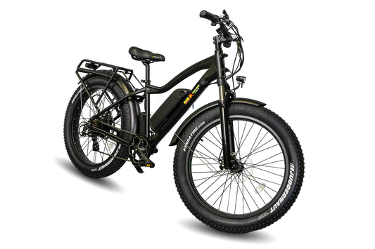 BAM EW-Supreme 750W Electric Bike 48V