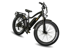 BAM EW-Supreme 750W Electric Bike 48V