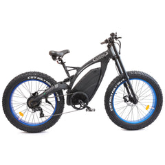 Bison 1000w Electric Bicycle 48v Rear Hub Motor