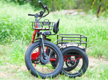 Emojo Bison Pro 750W Foldable Step Thru Trike