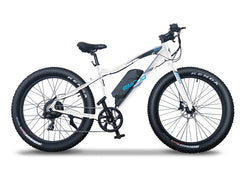 Emojo Wildcat Pro 500W Electric Bike Hydraulic Brakes